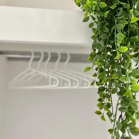 Daire Wanderlust Petrisberg - 53 *